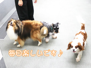 夏のＷａｎ活♪